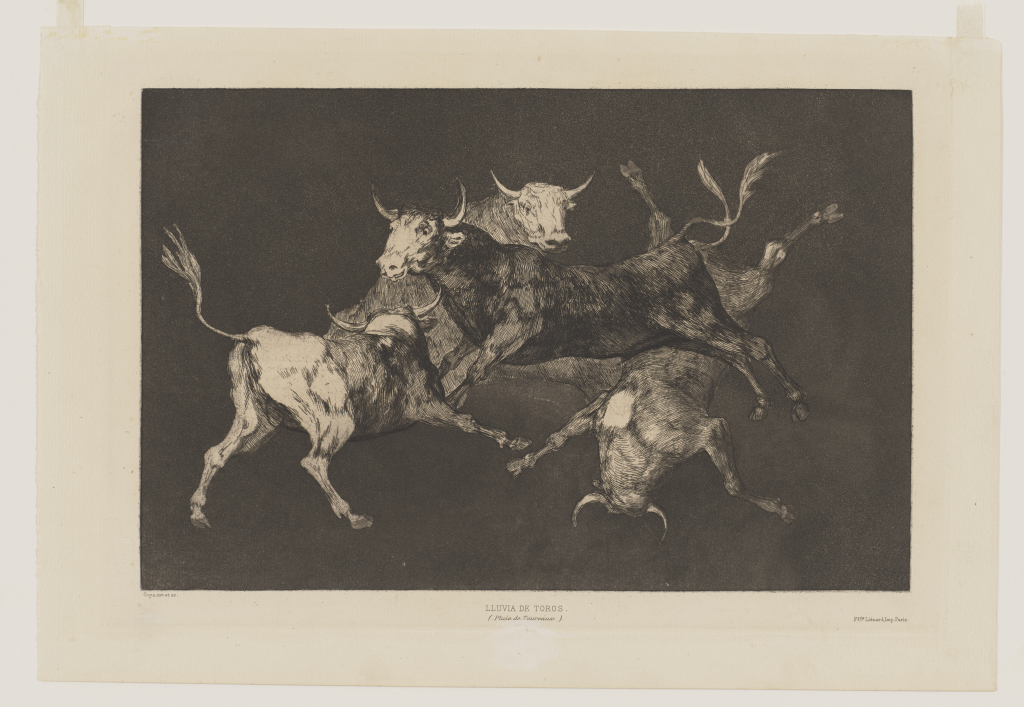 Disparate de Tontos (Fool's Folly), plate D from the series Los